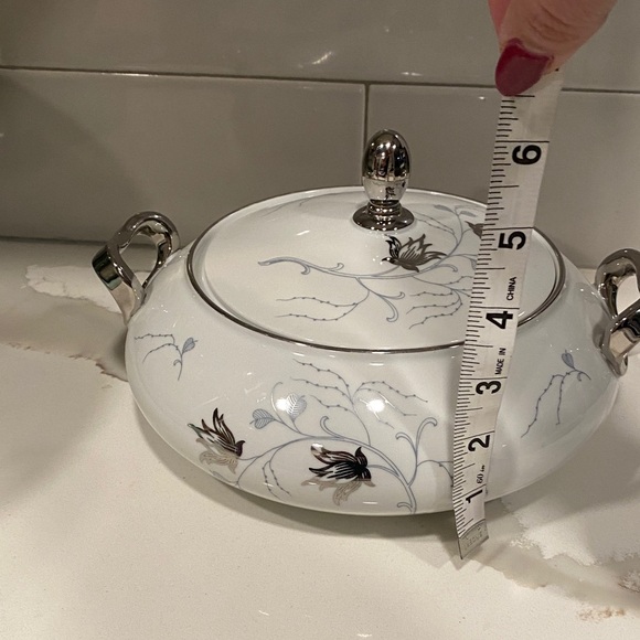 Vintage Baronet China Silver Arbor Covered Vegetable Dish Bavaria Germany - Picture 9 of 9